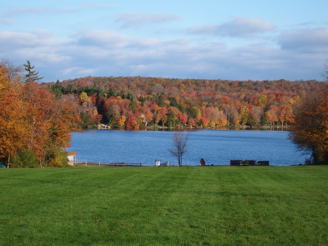 Lake with Trees